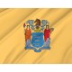 New Jersey State Flag for Indoor & Outdoor Use - Imagine 2