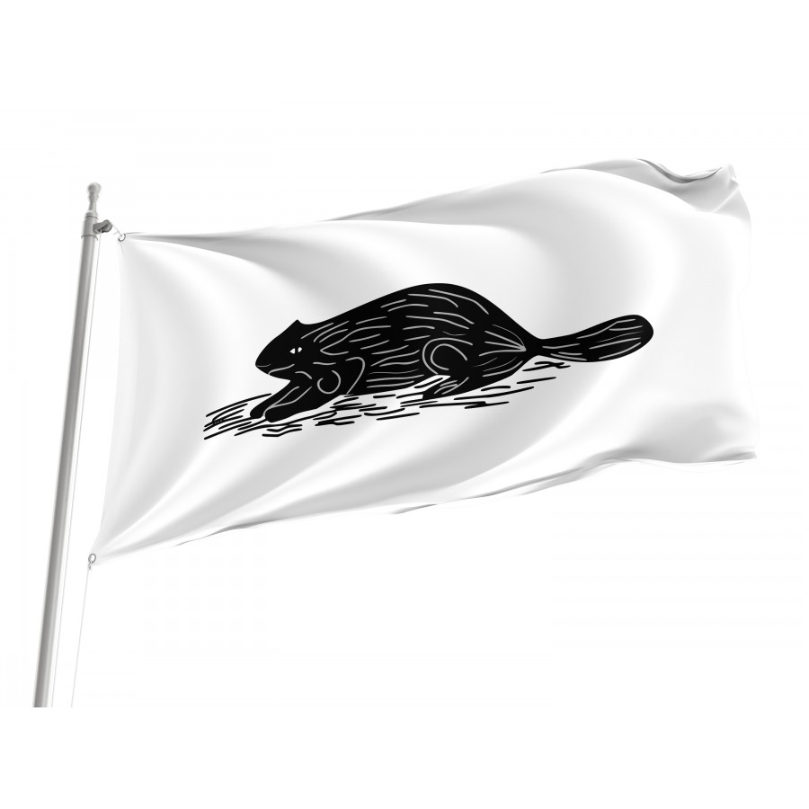 Flag of Naval ensign of New York 1775, Patriotic Flags, Unique Design Print, Flags for Indoor & Outdoor Use