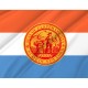 Ulster County Flag for Indoor & Outdoor Use - Imagine 2
