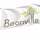 Boonville Flag for Indoor & Outdoor Use - Imagine 1