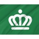 Charlotte, North Carolina Green Flag for Indoor & Outdoor Use - Imagine 2