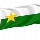 Forsyth County Flag for Indoor & Outdoor Use - Imagine 1