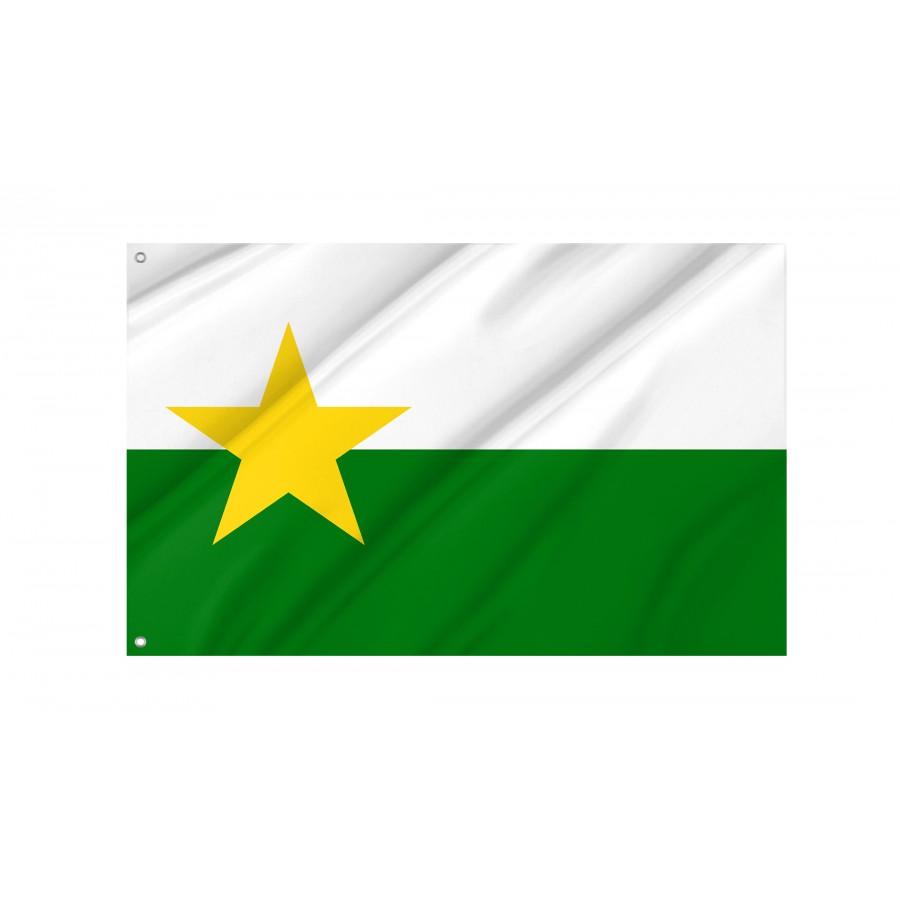Flag of Forsyth County, North Carolina, Patriotic Flags, Unique Design Print, Flags for Indoor & Outdoor Use