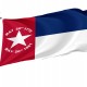 North Carolina 1861-1865 Flag for Indoor & Outdoor Use - Imagine 1