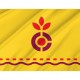 Flag of Carthage, Cincinnati, Ohio, Patriotic Flags, Unique Design Print, Flags for Indoor & Outdoor Use - Imagine 2