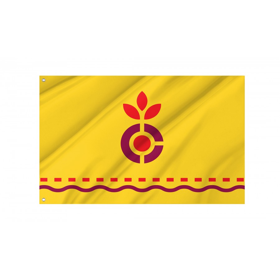 Flag of Carthage, Cincinnati, Ohio, Patriotic Flags, Unique Design Print, Flags for Indoor & Outdoor Use