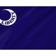 Fort Moultrie Flag for Indoor & Outdoor Use - Imagine 2