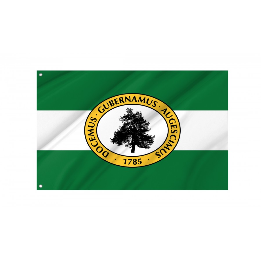 Flag of Richland County, South Carolina, Patriotic Flags, Unique Design Print, Flags for Indoor & Outdoor Use