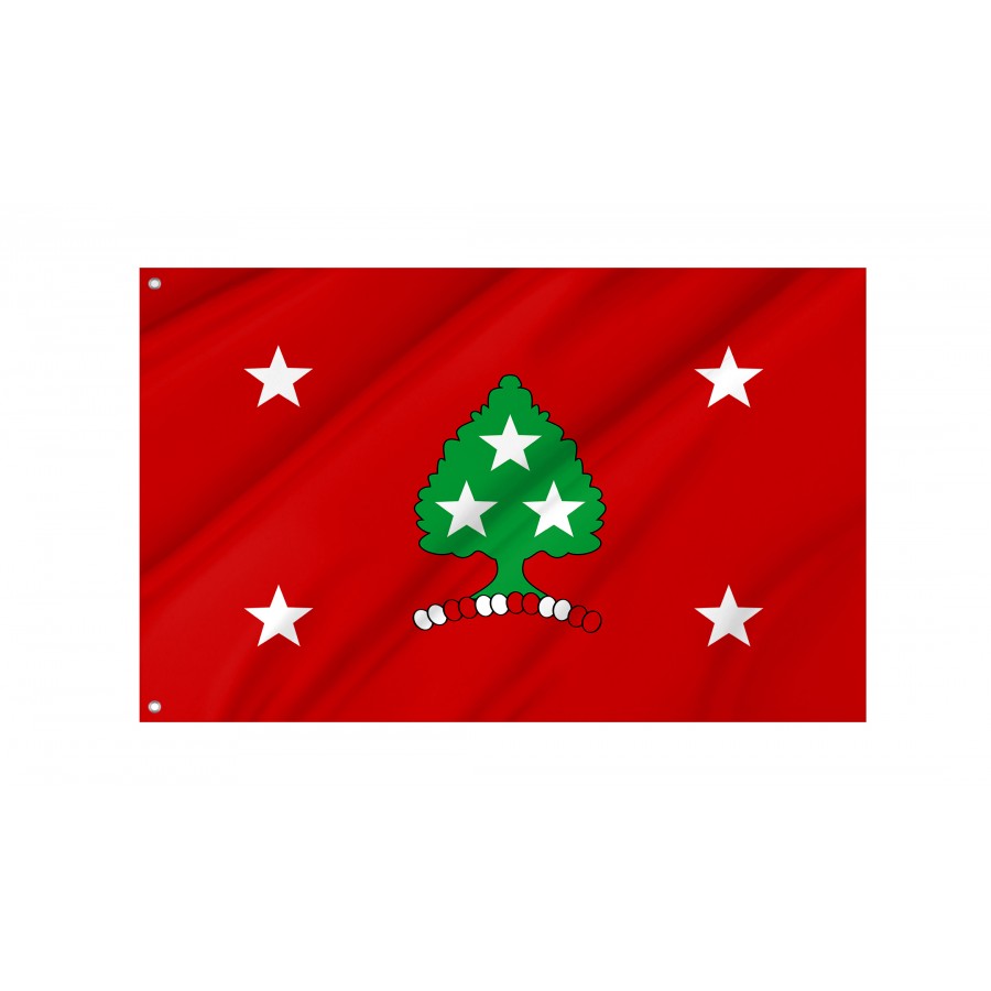 Flag of Governor of Tennessee, Patriotic Flags, Unique Design Print, Flags for Indoor & Outdoor Use