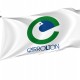 Flag of Carrollton, Texas, Patriotic Flags, Unique Design Print, Flags for Indoor & Outdoor Use - Imagine 1