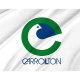 Flag of Carrollton, Texas, Patriotic Flags, Unique Design Print, Flags for Indoor & Outdoor Use - Imagine 2