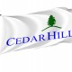 Cedar Hill Flag for Indoor & Outdoor Use - Imagine 1