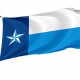Flag of Dallas County, Texas, Patriotic Flags, Unique Design Print, Flags for Indoor & Outdoor Use - Imagine 1