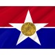Dallas City Flag for Indoor & Outdoor Use - Imagine 2