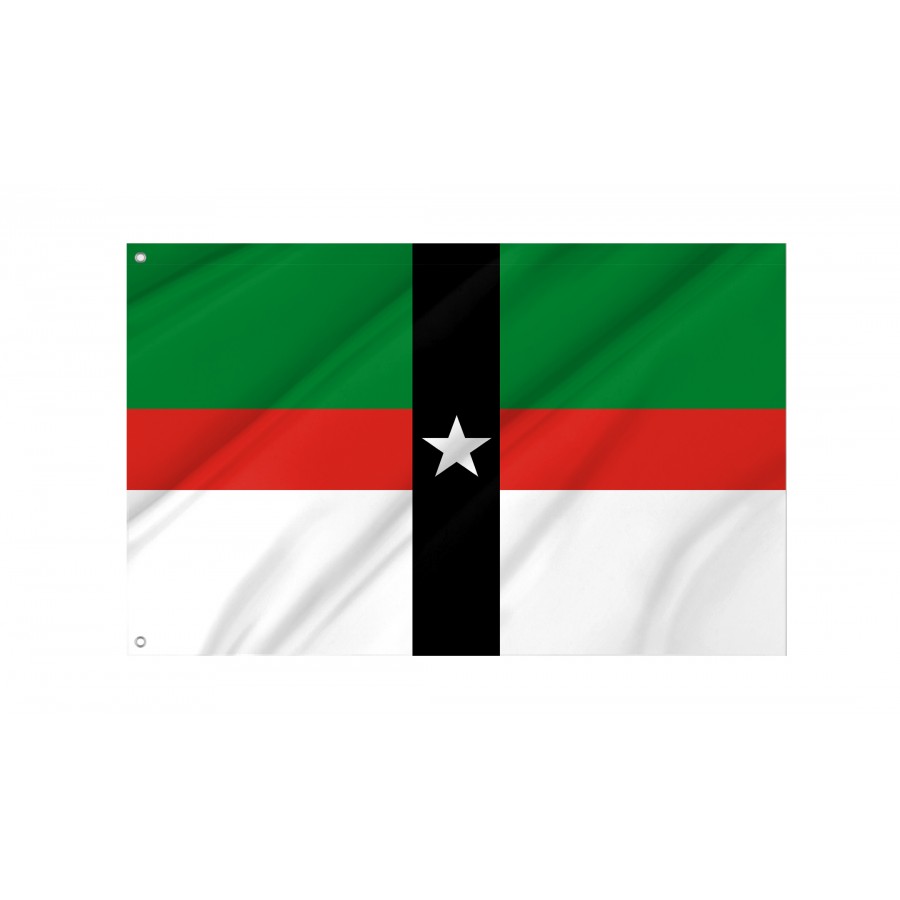 Flag of Denison, Texas, Patriotic Flags, Unique Design Print, Flags for Indoor & Outdoor Use