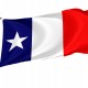 Grimes County Flag for Indoor & Outdoor Use - Imagine 1