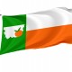 Flag of Orange County, Texas, Patriotic Flags, Unique Design Print, Flags for Indoor & Outdoor Use - Imagine 1