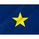 Republic of Texas 1836-1839 Flag for Indoor & Outdoor Use - Imagine 2