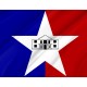 San Antonio Flag for Indoor & Outdoor Use - Imagine 2