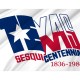 Texas Sesquicentennial Flag for Indoor & Outdoor Use - Imagine 2