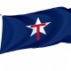 Flag of Texas State Guard, Patriotic Flags, Unique Design Print, Flags for Indoor & Outdoor Use - Imagine 1