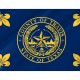Travis County Flag for Indoor & Outdoor Use - Imagine 2