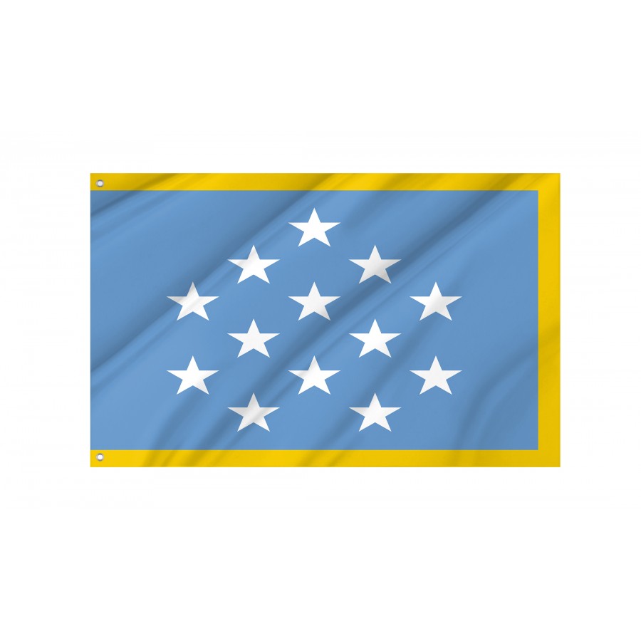 Us Medal Of Honor Flag With Gold Fringe, Patriotic Flags, Unique Design Print, Flags For Indoor & Outdoor Use - High Quality United States for Indoor and Outdoor Use