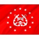 United States Under Secretary of the Treasury Flag for Indoor & Outdoor Use - Imagine 2