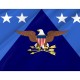 U.S. Undersecretary of Defense Flag for Indoor & Outdoor Use - Imagine 2