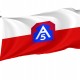 United States Army North Flag for Indoor & Outdoor Use - Imagine 1