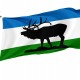 Flag of Elk Ridge, Utah, Patriotic Flags, Unique Design Print, Flags for Indoor & Outdoor Use - Imagine 1