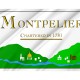 Montpelier 2000-2017 Flag for Indoor & Outdoor Use - Imagine 2