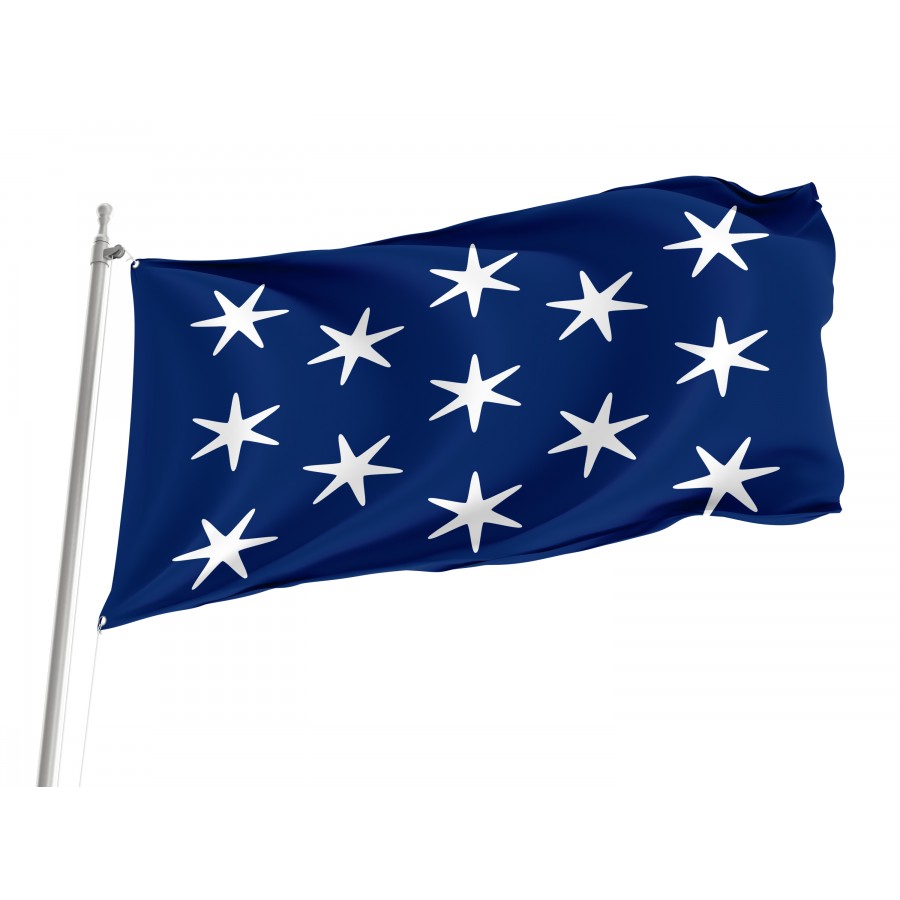 George Washington Personal Position Flag, Patriotic Flags, Unique Design Print, Flags for Indoor & Outdoor Use