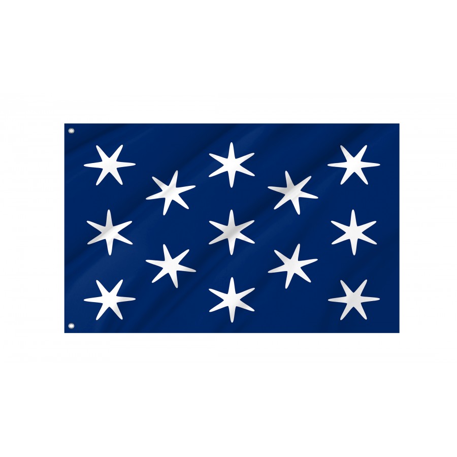 George Washington Personal Position Flag, Patriotic Flags, Unique Design Print, Flags for Indoor & Outdoor Use