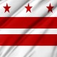 Washington DC State Flag, Patriotic Flags, Unique Design Print, Flags for Indoor & Outdoor Use - Imagine 2
