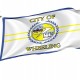Flag of Wheeling, West Virginia 1968-2018, Patriotic Flags, Unique Design Print, Flags for Indoor & Outdoor Use - Imagine 1