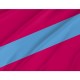 Flag of Balakliia Region, Patriotic Flags, Unique Design Print, Flags for Indoor & Outdoor Use - Imagine 2