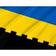 Flag of Balta Region, Odessa District, Patriotic Flags, Unique Design Print, Flags for Indoor & Outdoor Use - Imagine 2