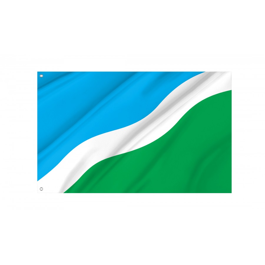 Flag of Baryshivka Region, Kyiv District, Patriotic Flags, Unique Design Print, Flags for Indoor & Outdoor Use