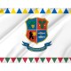 Flag of Berehove Region, Zakarpattia District, Patriotic Flags, Unique Design Print, Flags for Indoor & Outdoor Use - Imagine 2