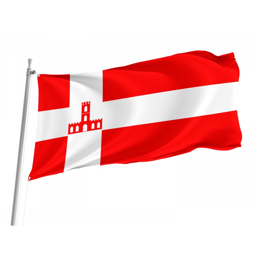 Flag of Bershad Region, Vinnytsia District, Patriotic Flags, Unique Design Print, Flags for Indoor & Outdoor Use