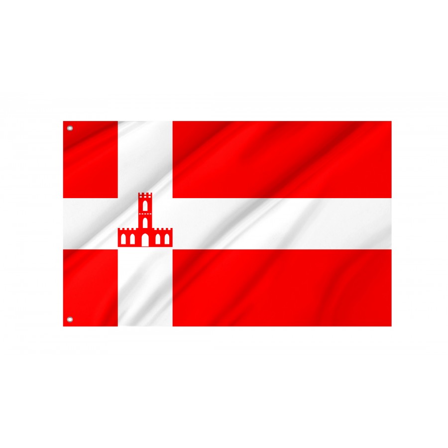 Flag of Bershad Region, Vinnytsia District, Patriotic Flags, Unique Design Print, Flags for Indoor & Outdoor Use