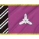 Flag of Borshchiv Region, Ternopil District, Patriotic Flags, Unique Design Print, Flags for Indoor & Outdoor Use - Imagine 2