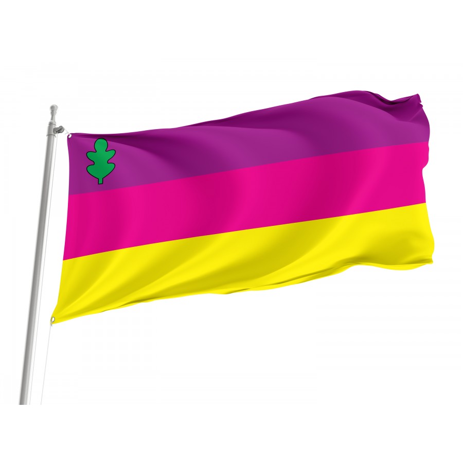 Flag of Dykanka Region, Poltava District, Patriotic Flags, Unique Design Print, Flags for Indoor & Outdoor Use