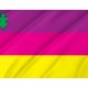 Flag of Dykanka Region, Poltava District, Patriotic Flags, Unique Design Print, Flags for Indoor & Outdoor Use - Imagine 2