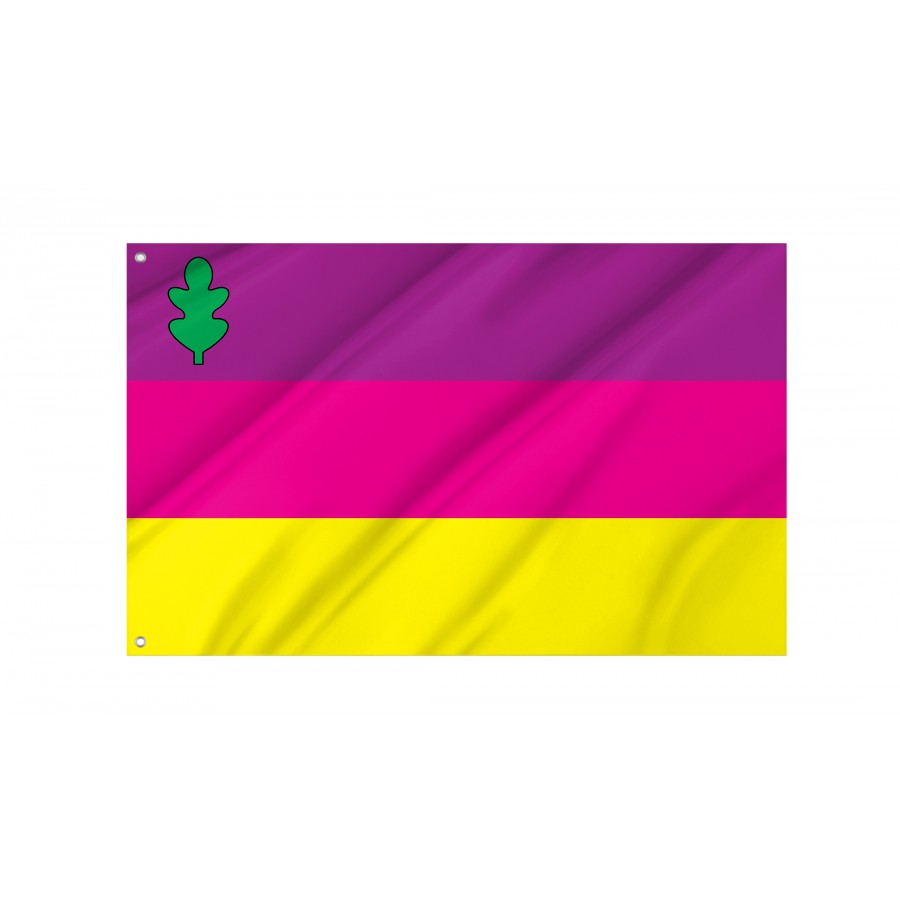 Flag of Dykanka Region, Poltava District, Patriotic Flags, Unique Design Print, Flags for Indoor & Outdoor Use