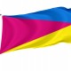 Flag of Ichnyanskyi Region, Chernihiv District, Patriotic Flags, Unique Design Print, Flags for Indoor & Outdoor Use - Imagine 1