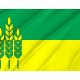 Flag of Ivanivka Region, Kherson District, Patriotic Flags, Unique Design Print, Flags for Indoor & Outdoor Use - Imagine 2
