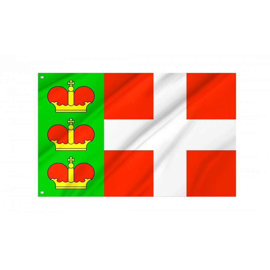 Flag of Iziaslav Region, Khmelnytskyi District, Patriotic Flags, Unique Design Print, Flags for Indoor & Outdoor Use