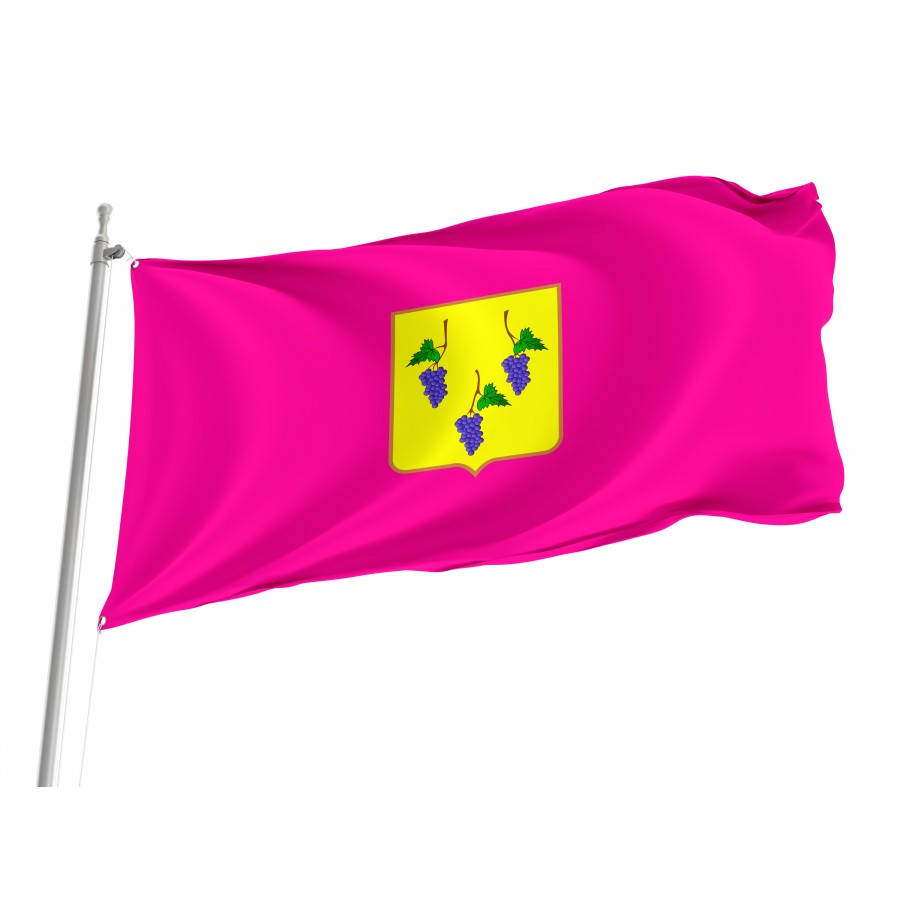 Flag of Izium and Izium Region, Kharkiv District, Patriotic Flags, Unique Design Print, Flags for Indoor & Outdoor Use